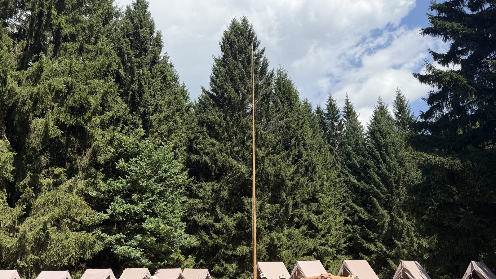Poslední nástup — fotka 3