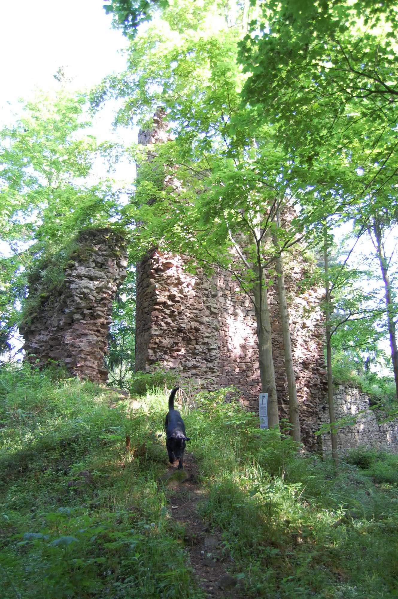 DSC 0342