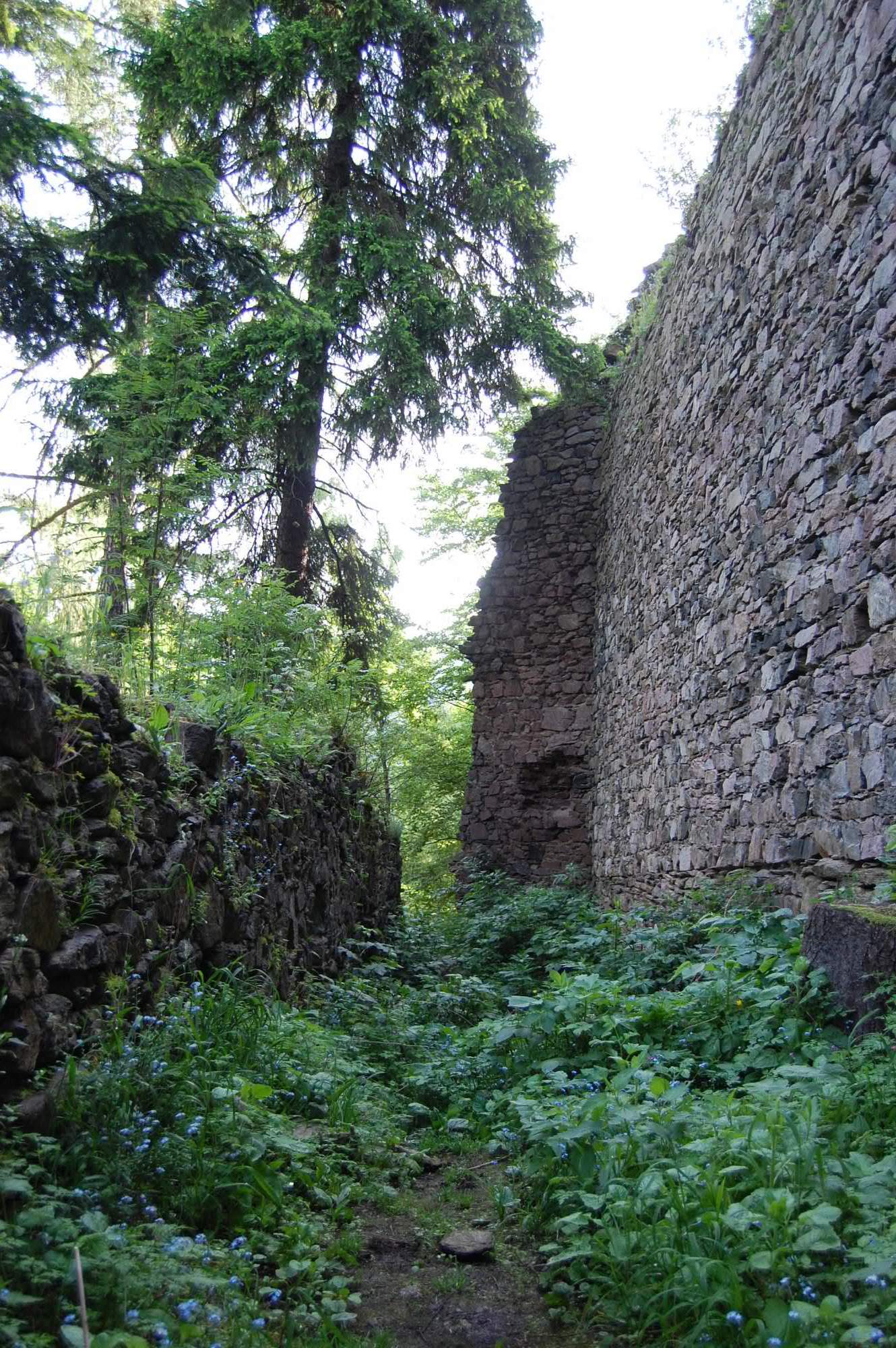 DSC 0354