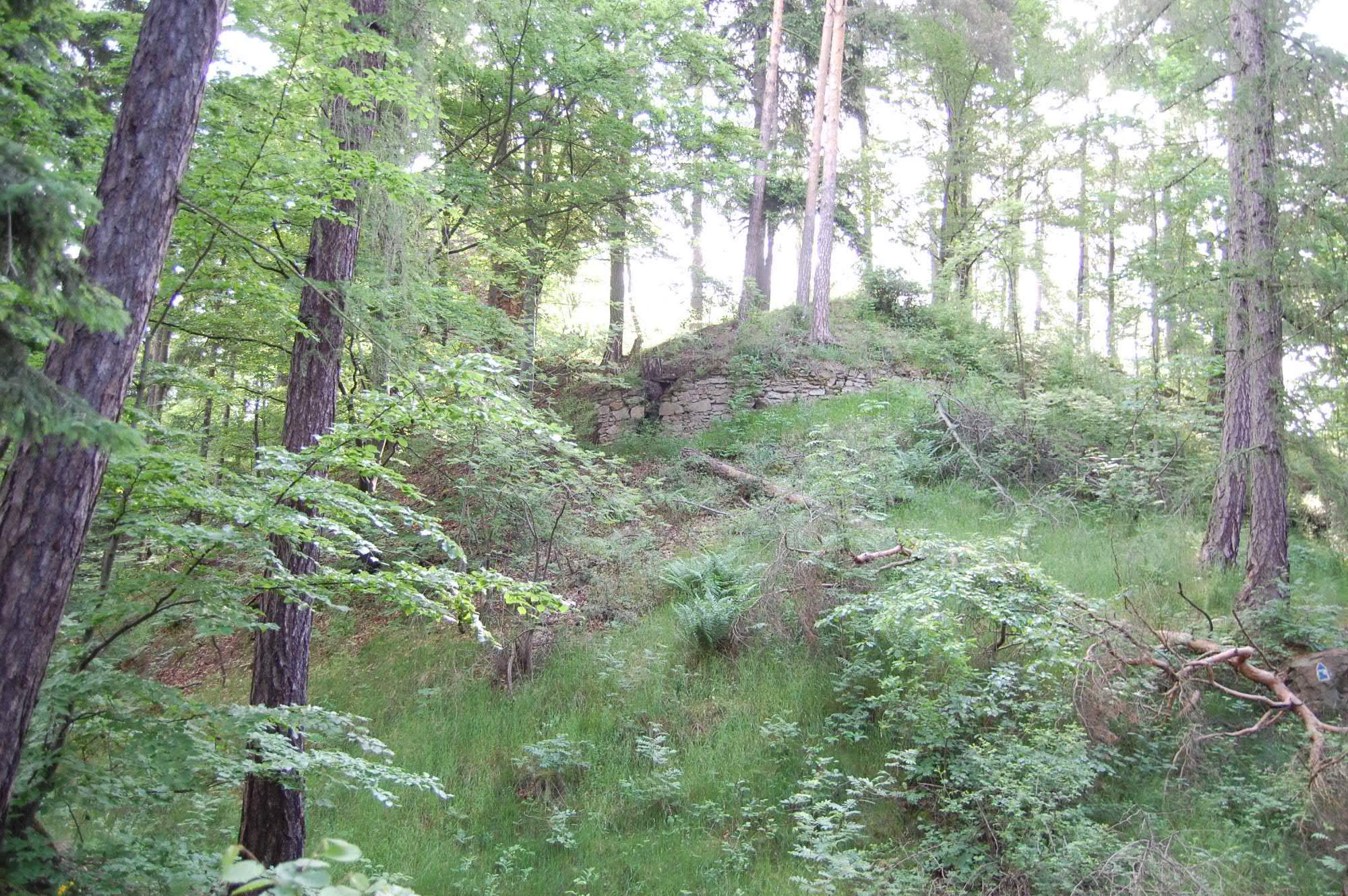 DSC 0358