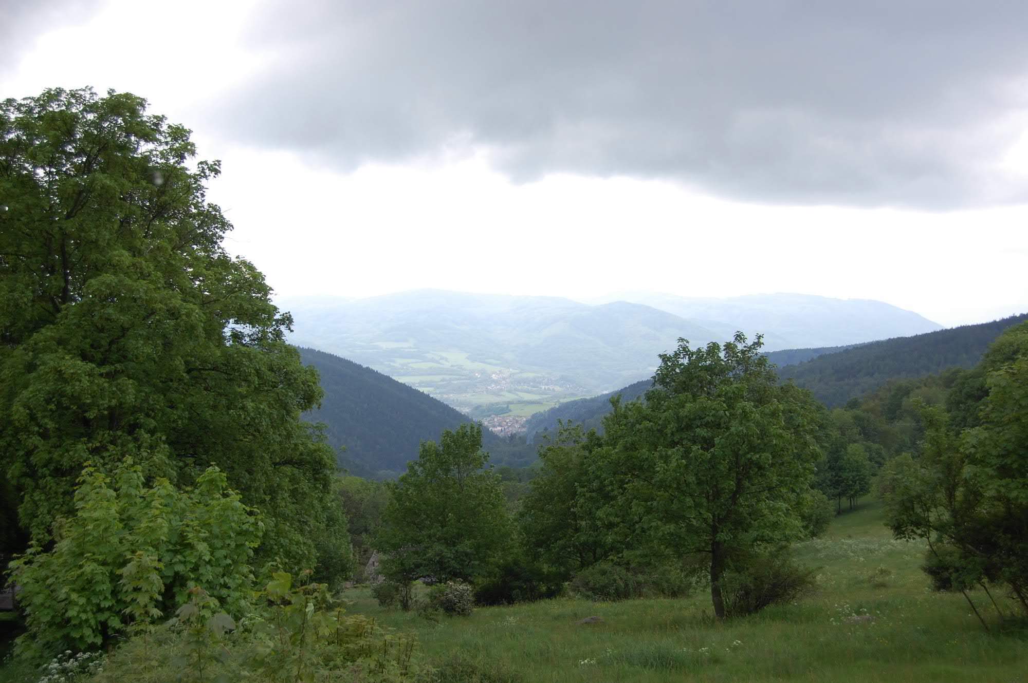 DSC 0390