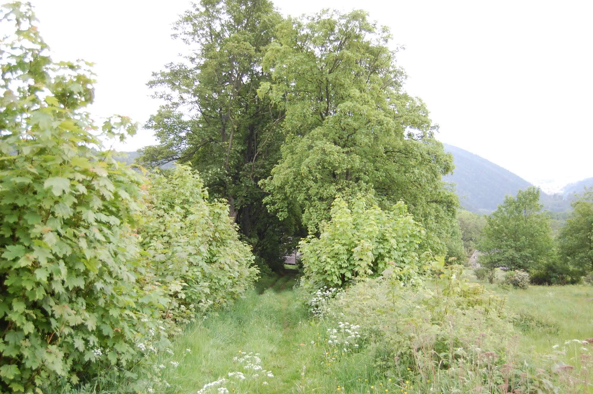 DSC 0392