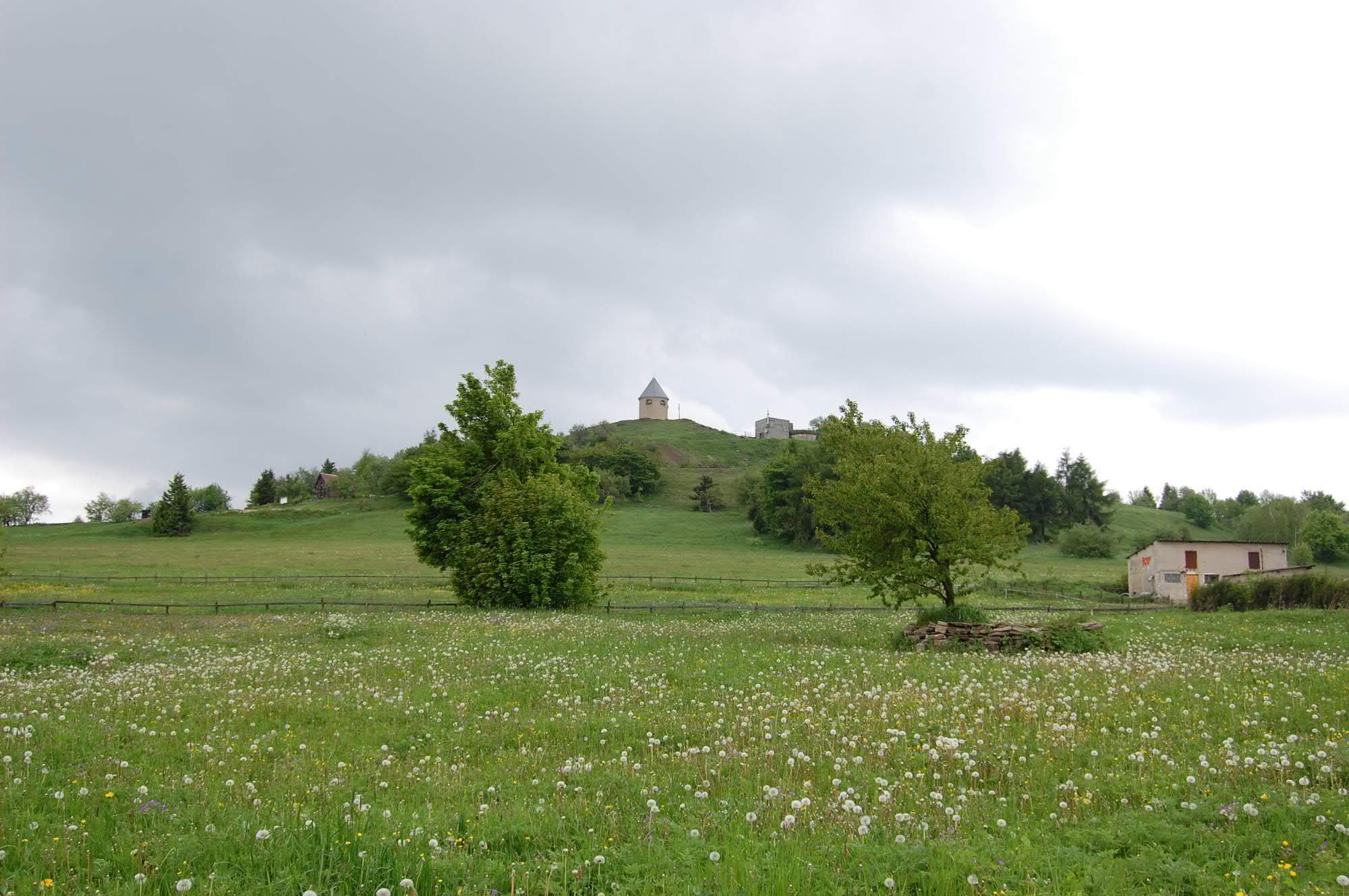 DSC 0415