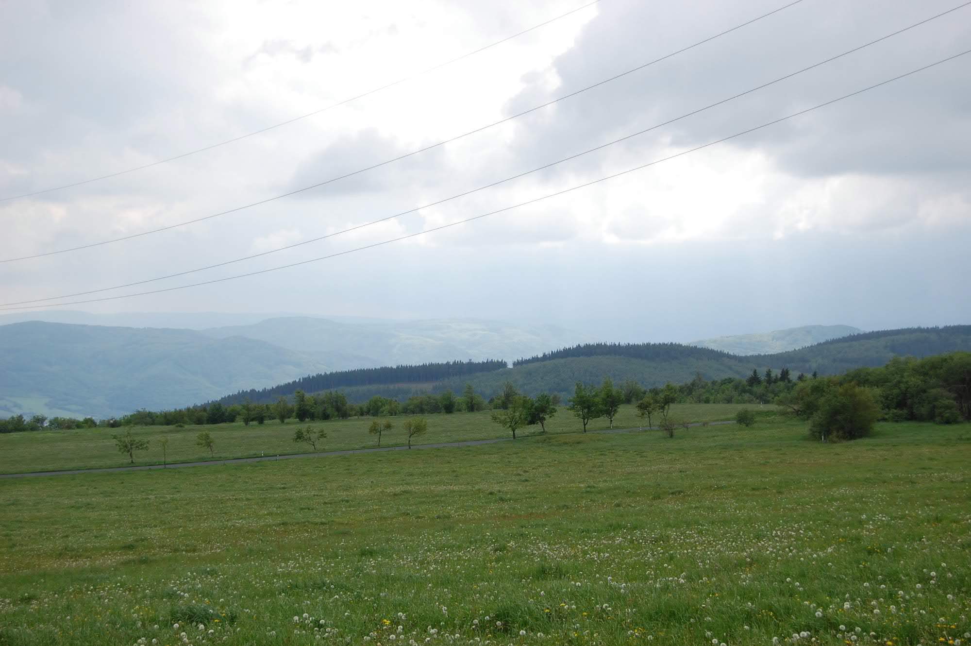 DSC 0417