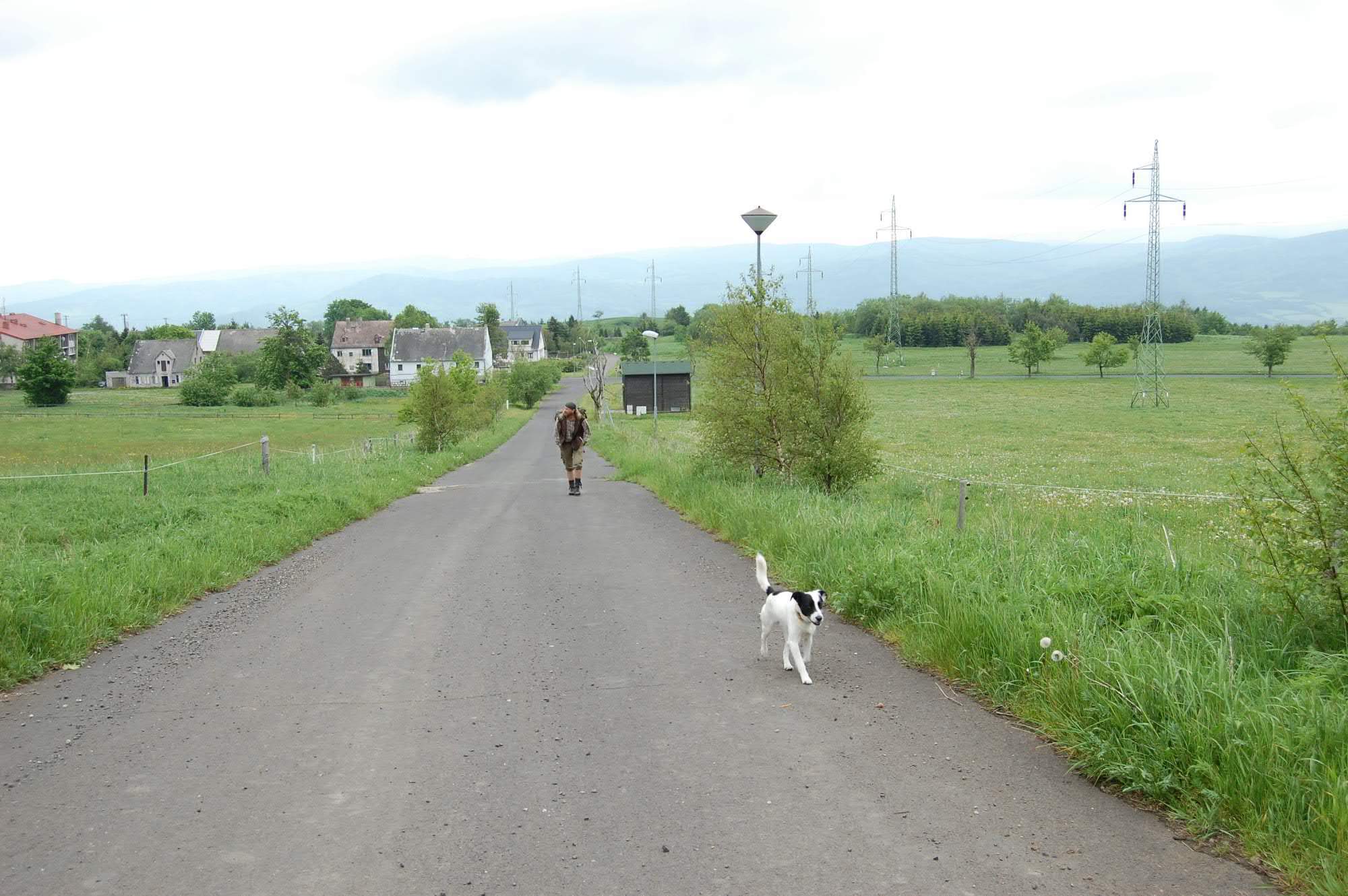 DSC 0418