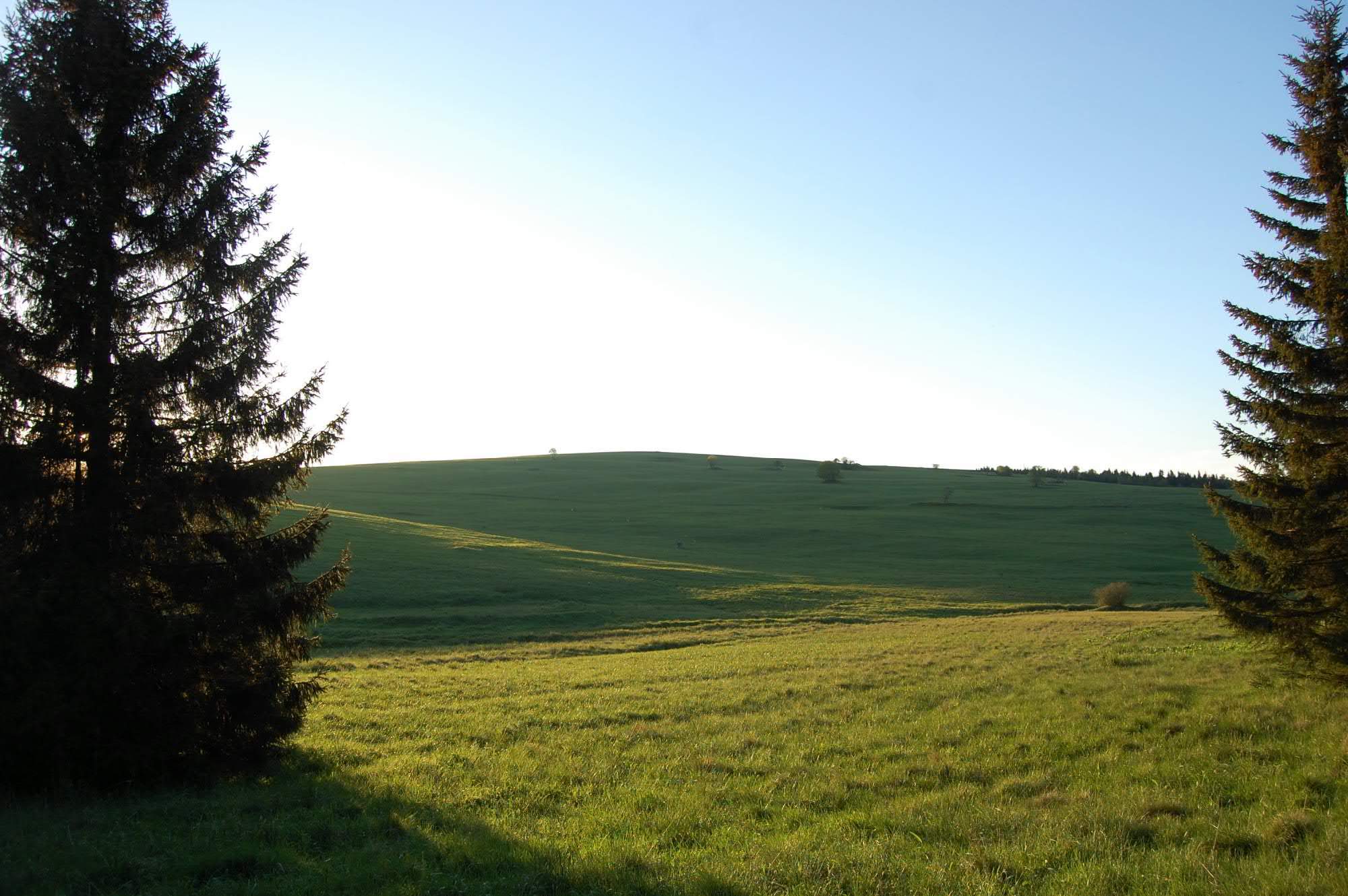 DSC 0495