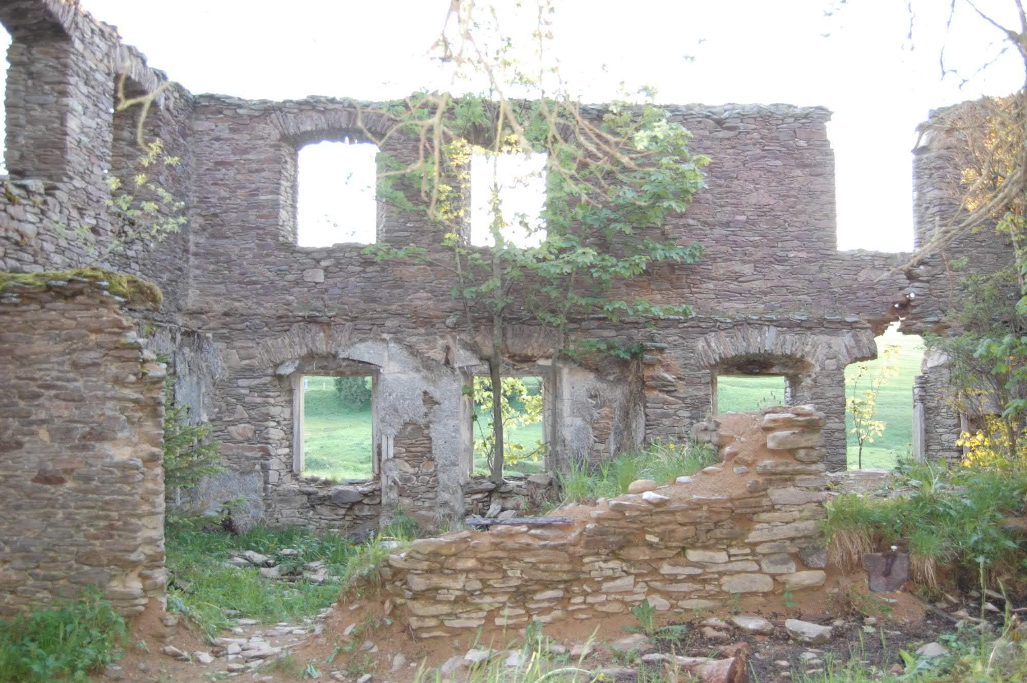 DSC 0505
