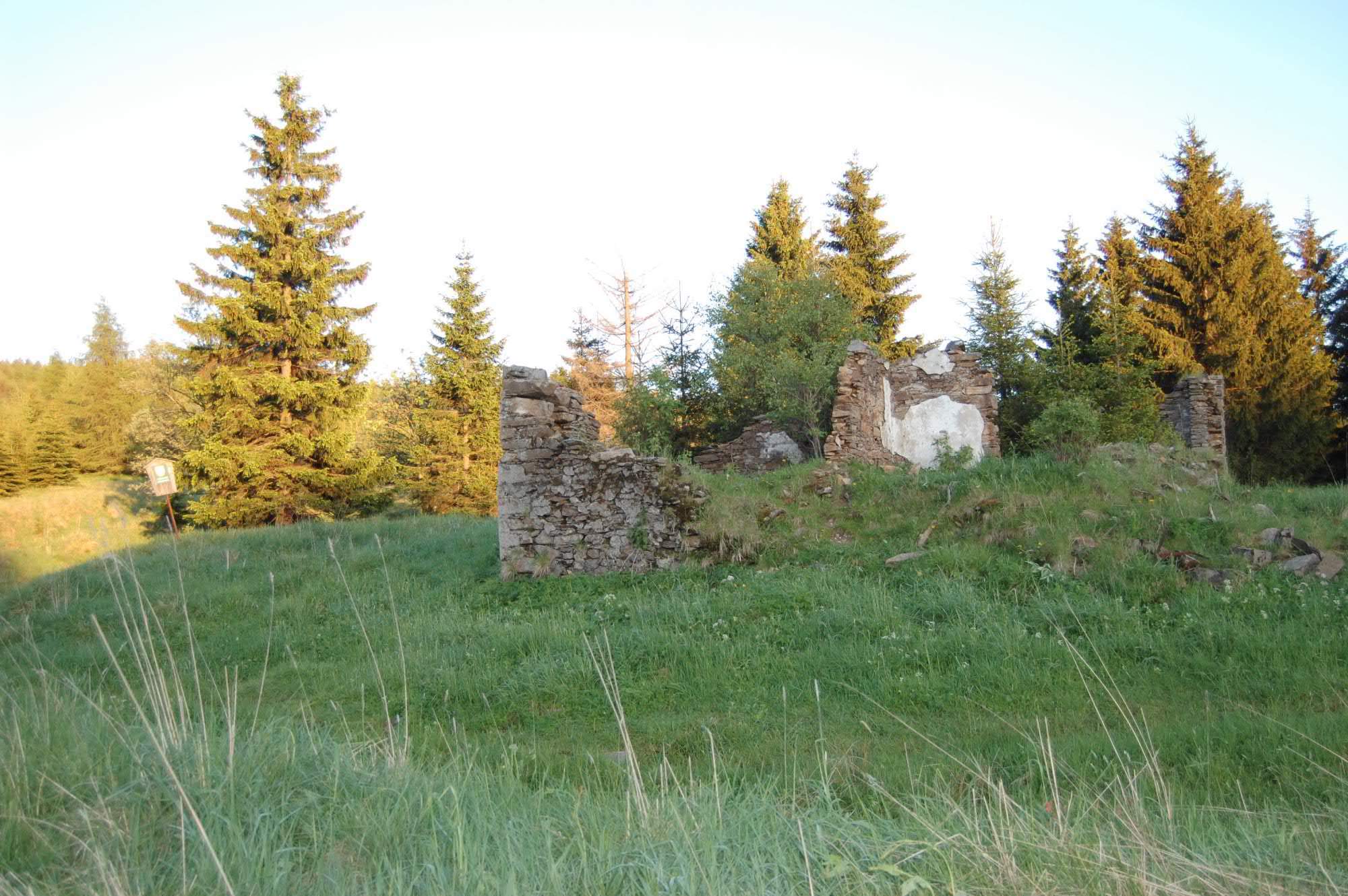 DSC 0507