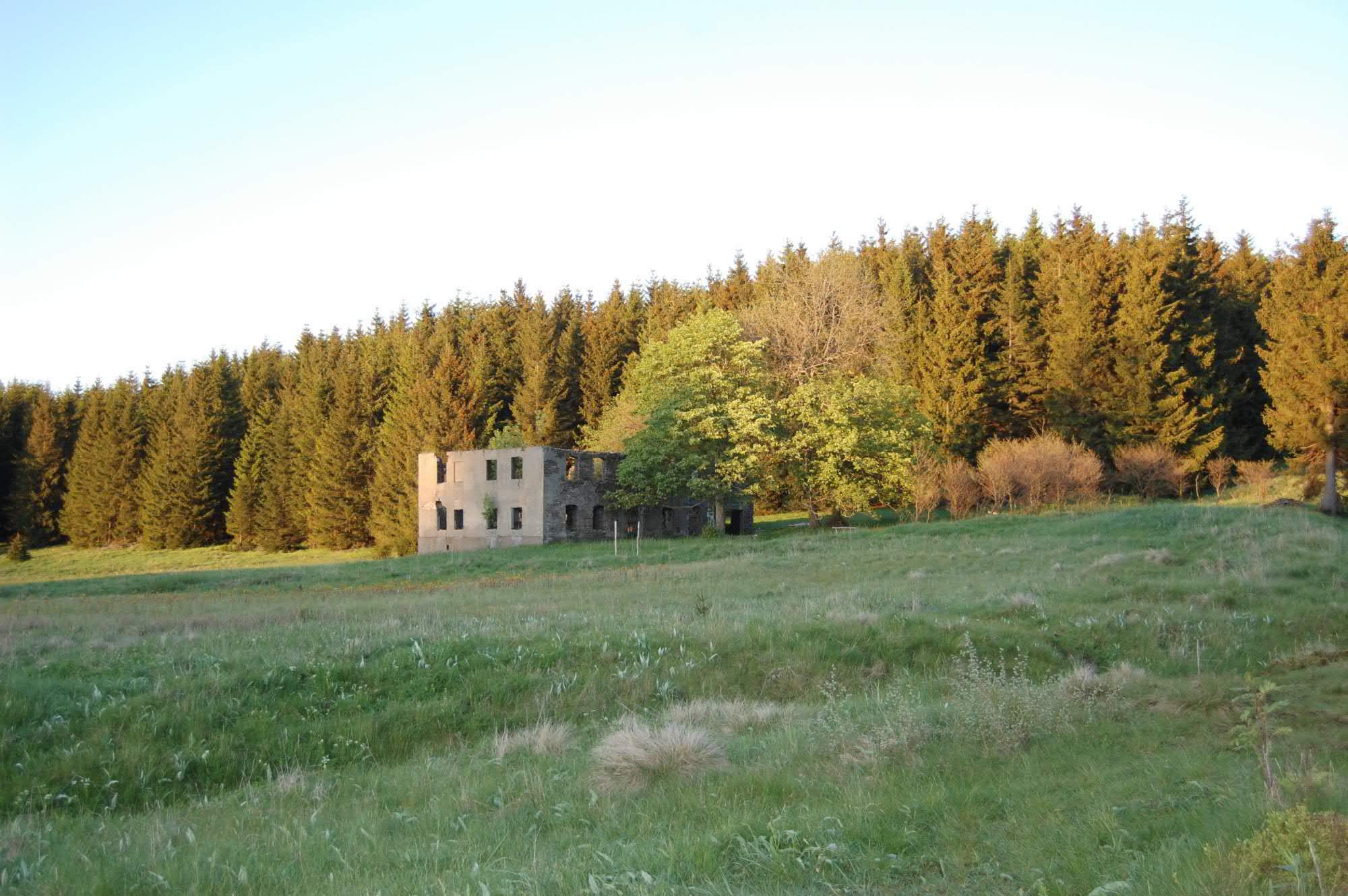 DSC 0509