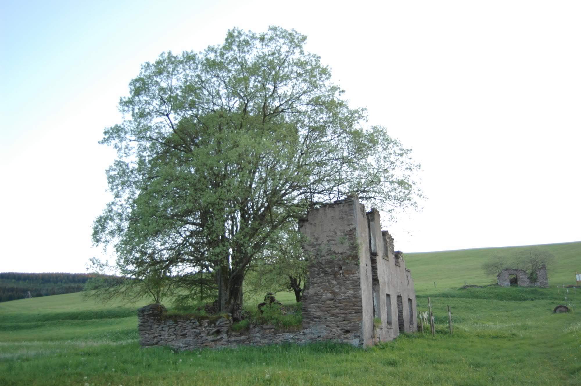 DSC 0511