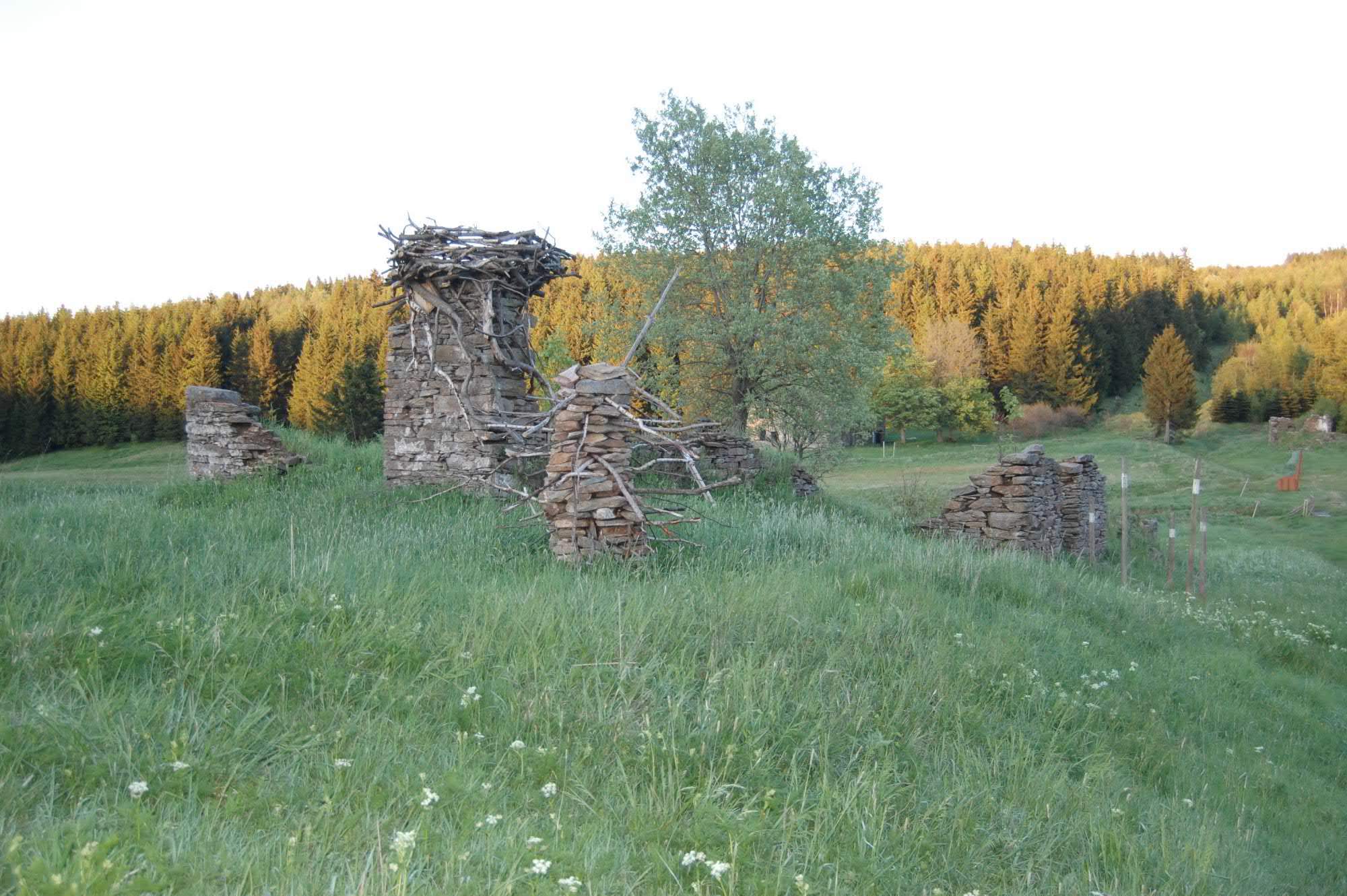 DSC 0513