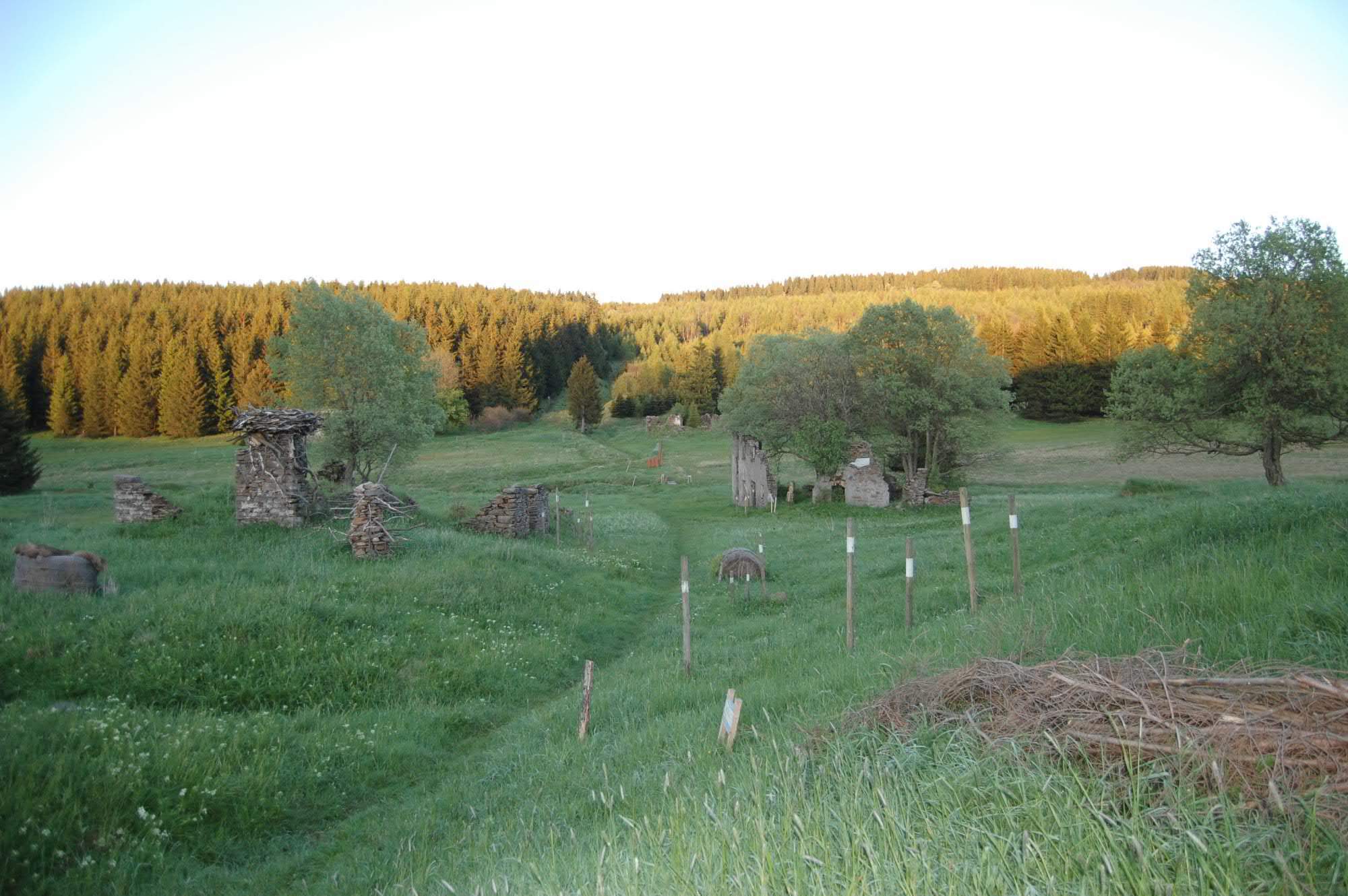 DSC 0515
