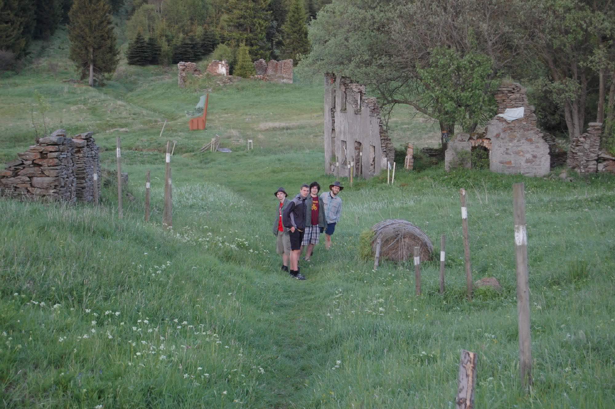 DSC 0517
