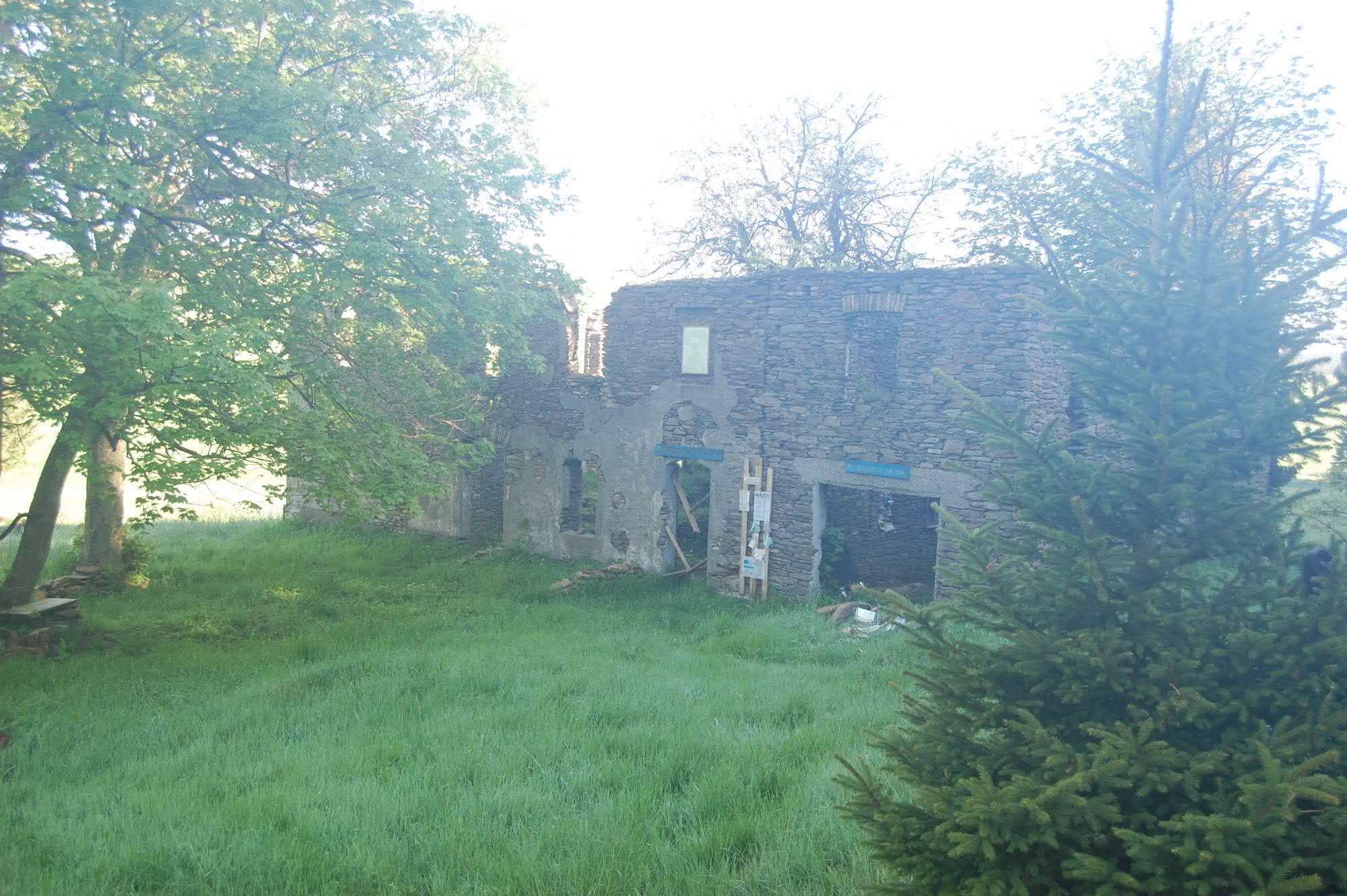 DSC 0523