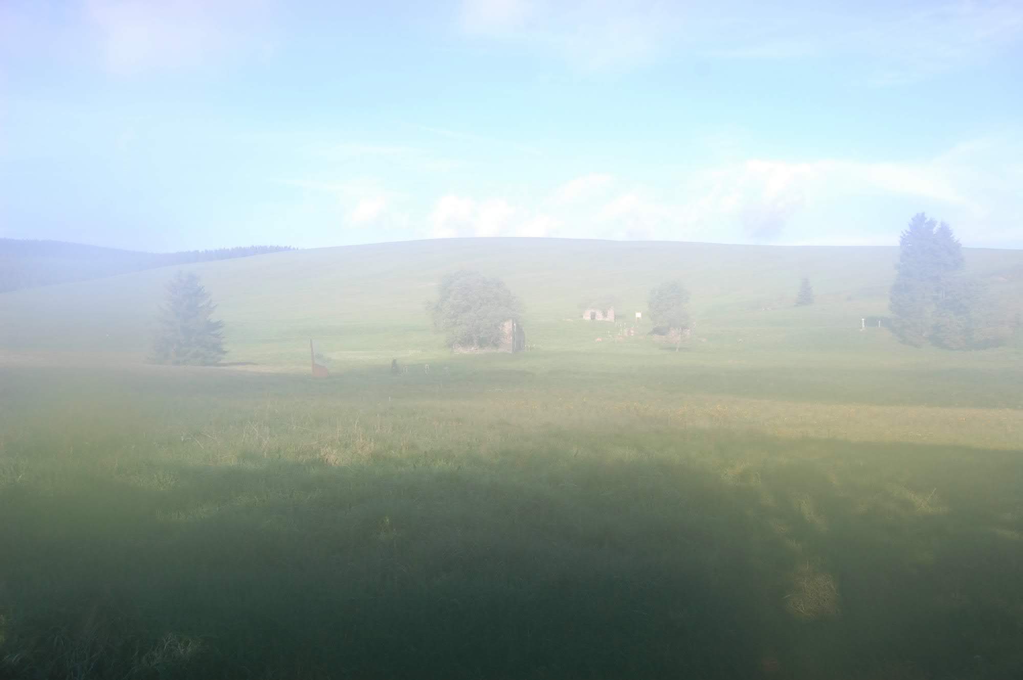 DSC 0525
