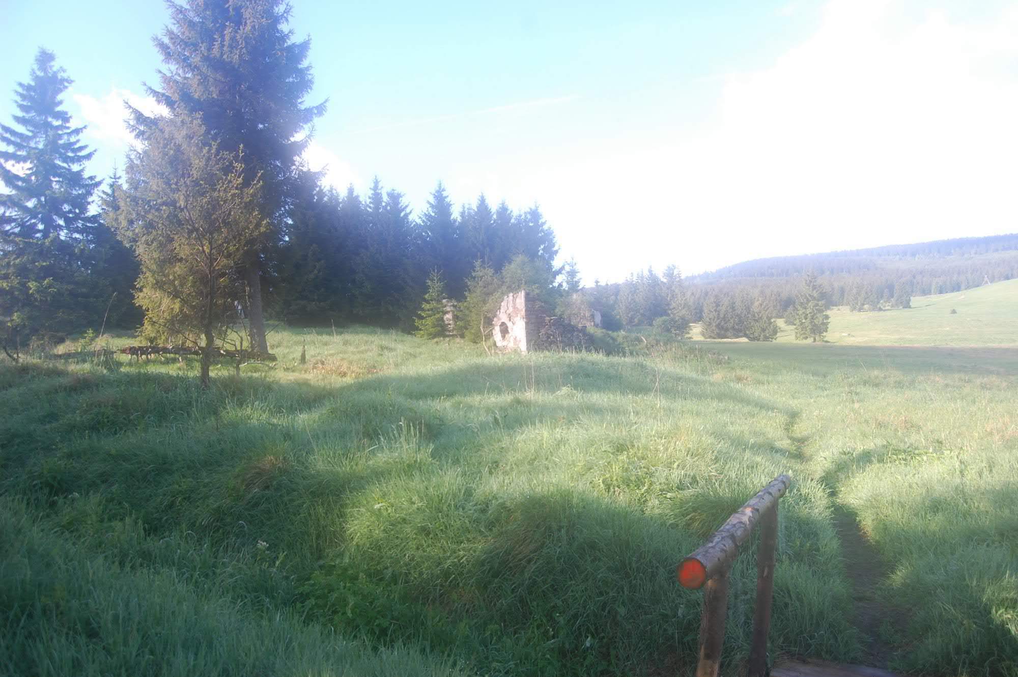 DSC 0526
