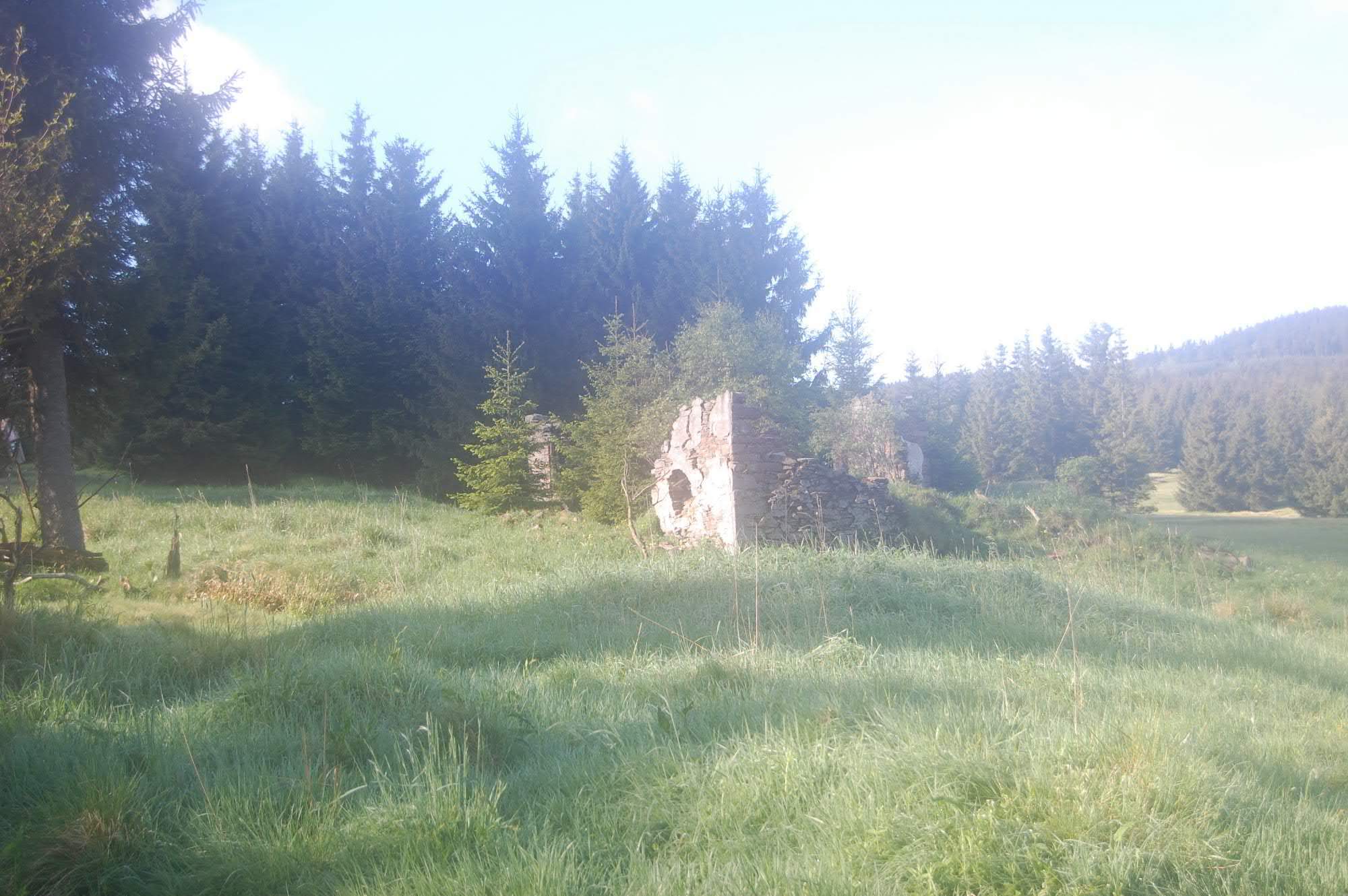 DSC 0527