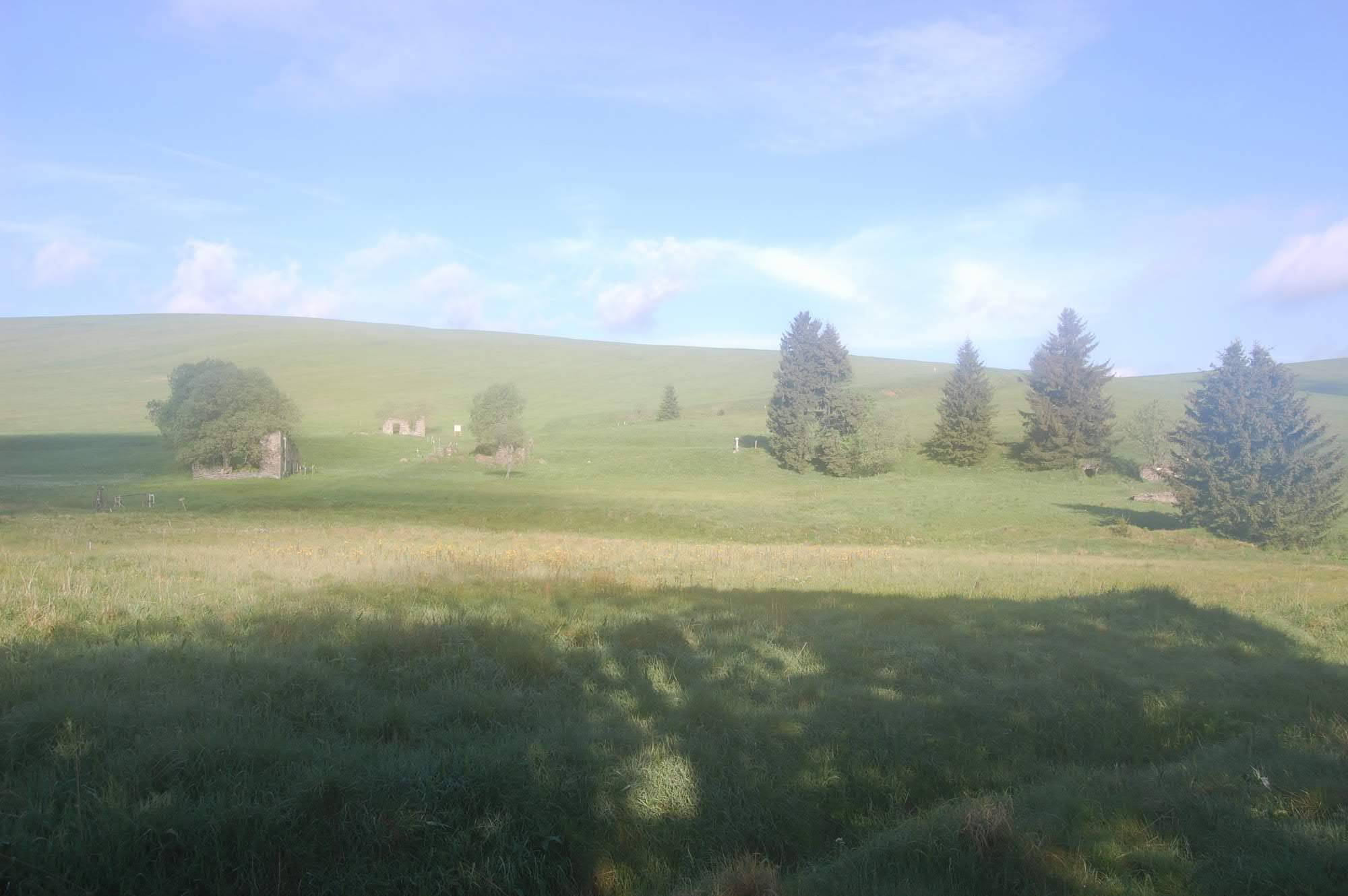 DSC 0528