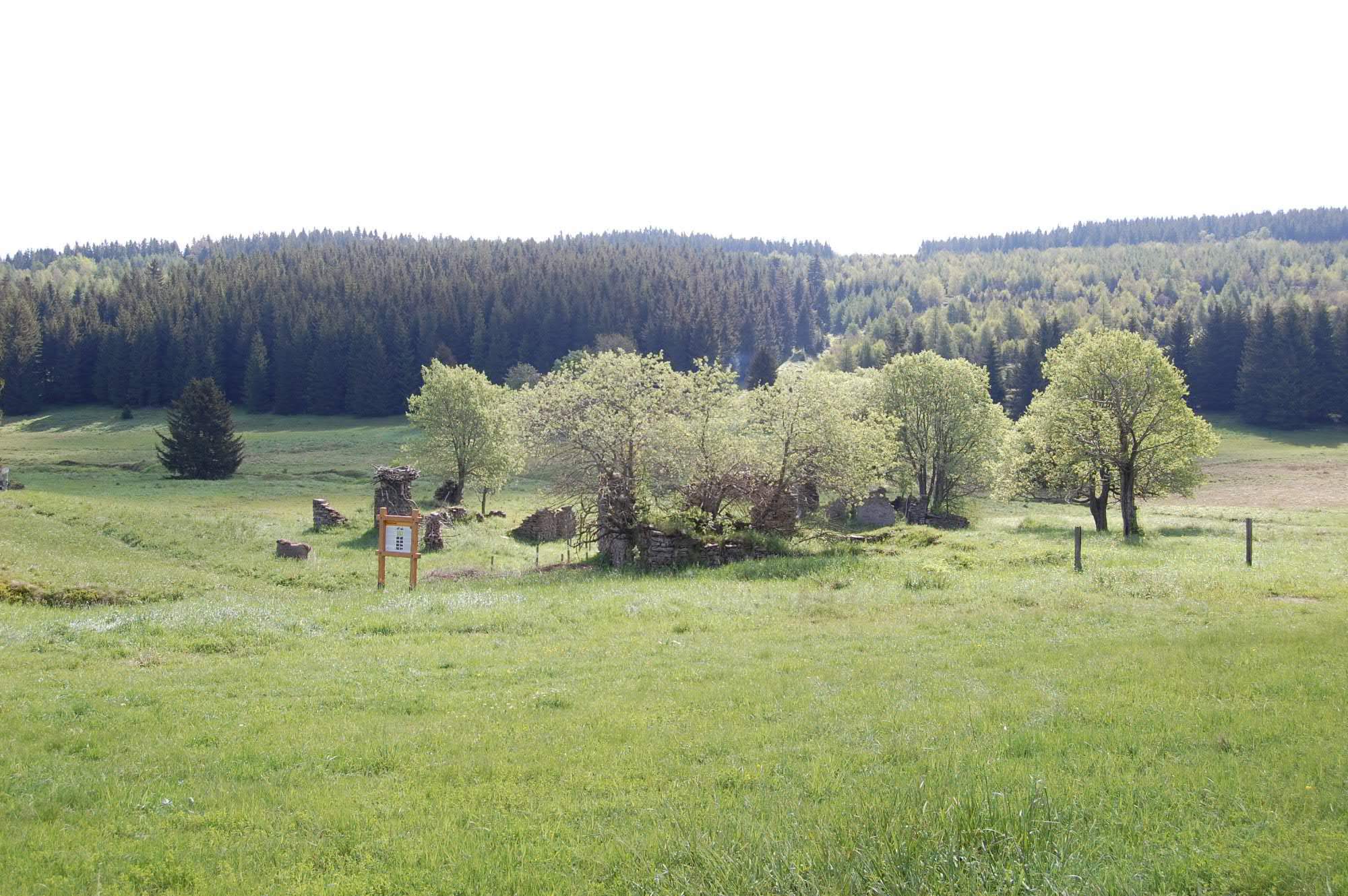 DSC 0537