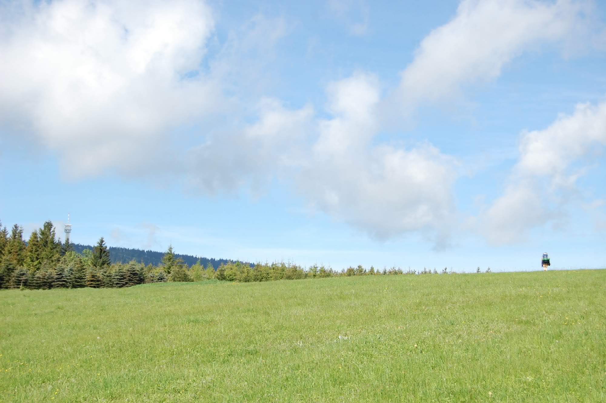 DSC 0562