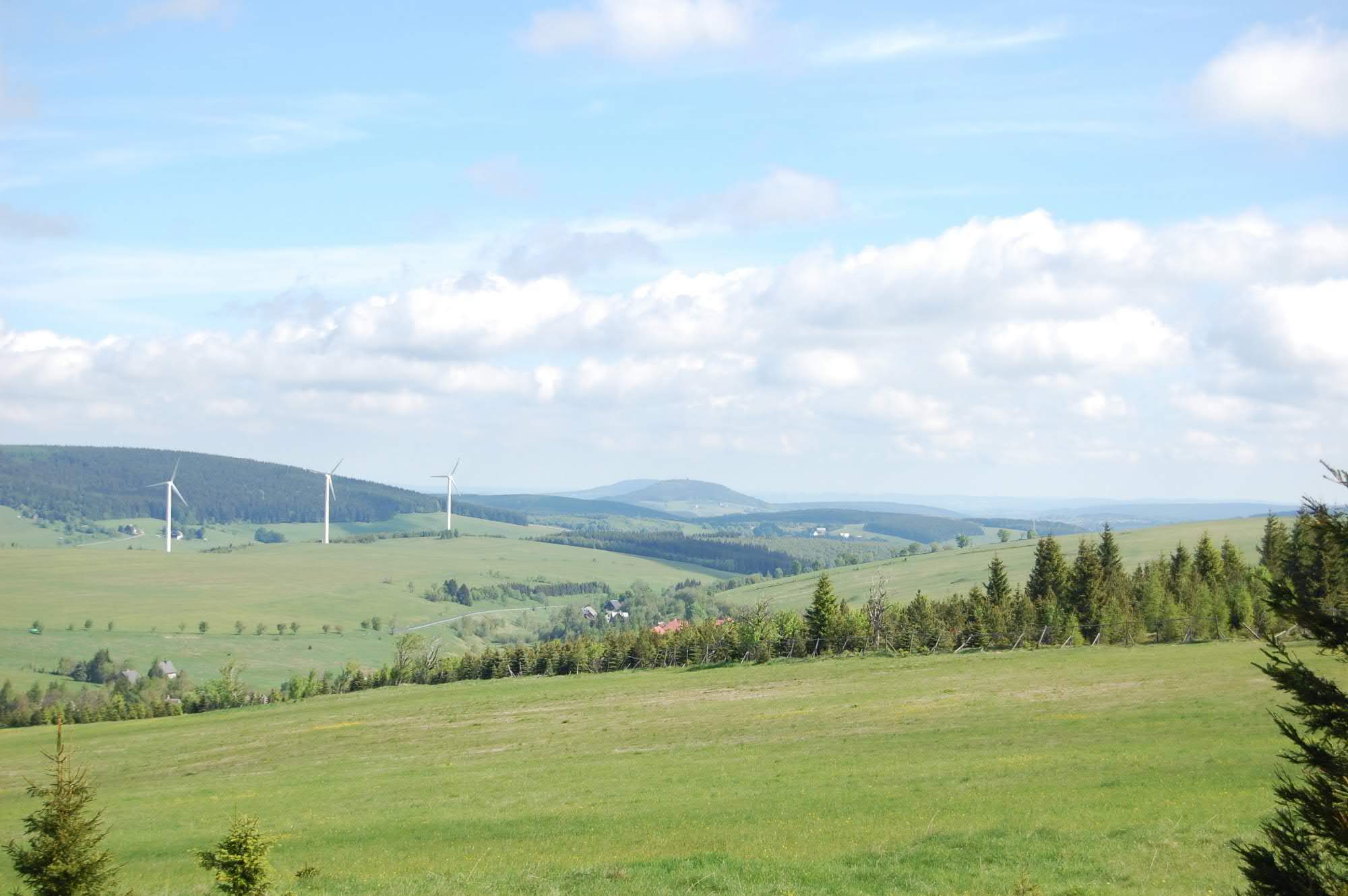 DSC 0567