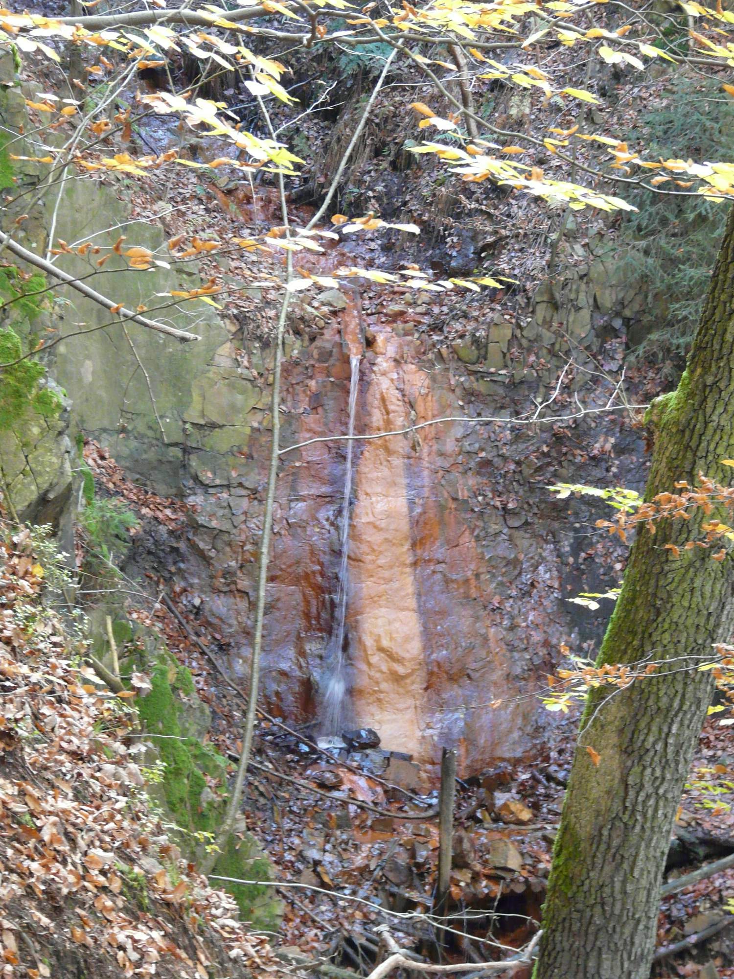 P1000039