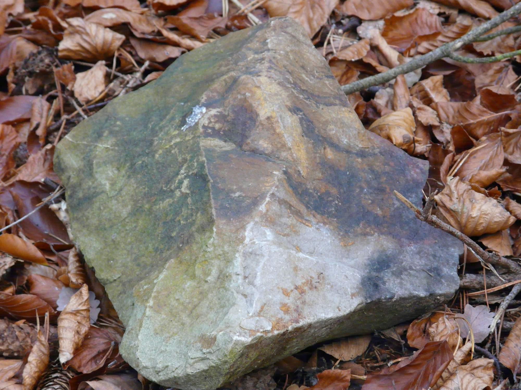 P1000047