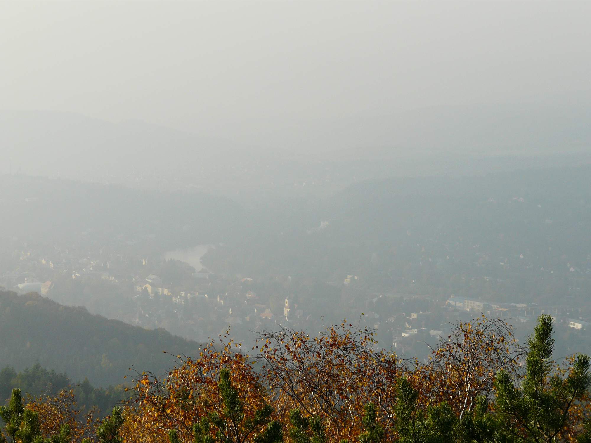P1000129