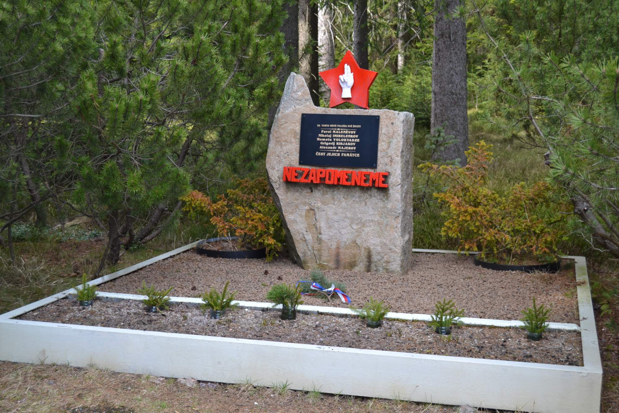 DSC 0176