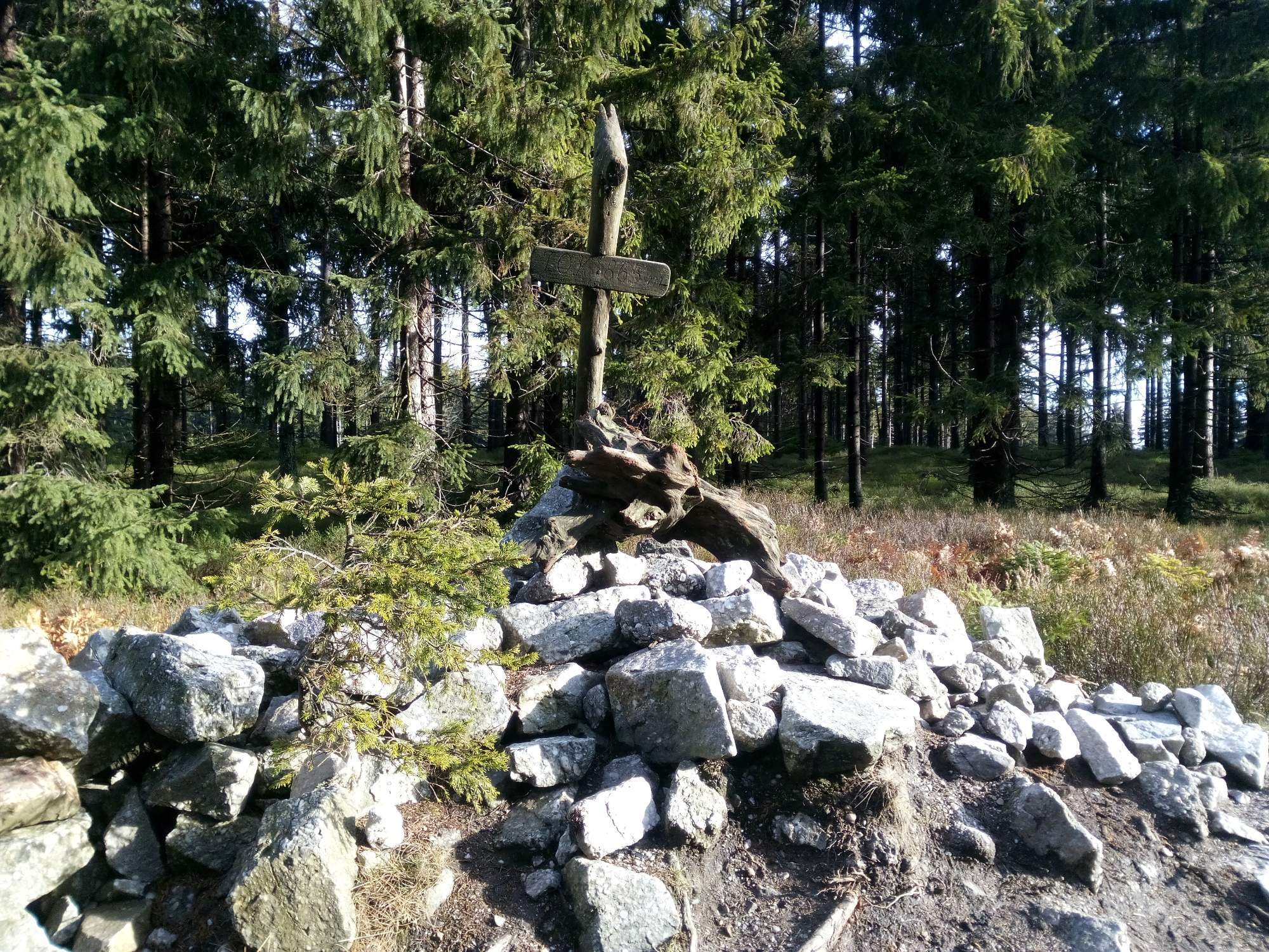 IMG 20161120 124616