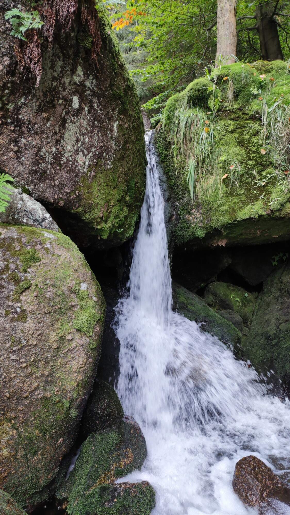 IMG 20210911 152158