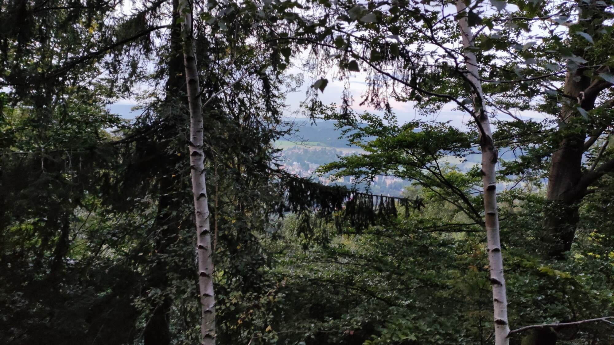 IMG 20210911 192903