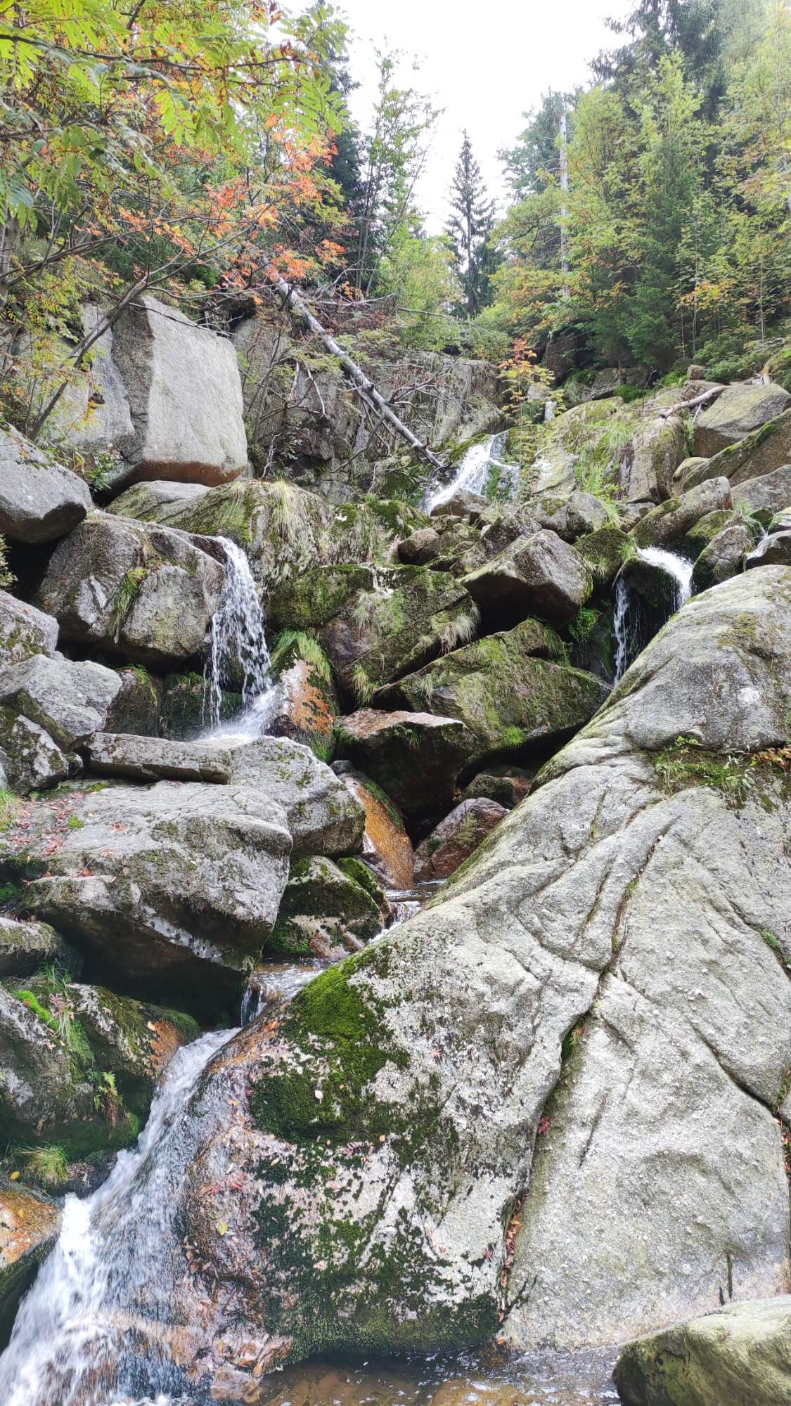 IMG 20210912 114519