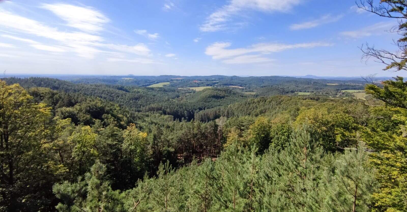 IMG 20220919 WA0006