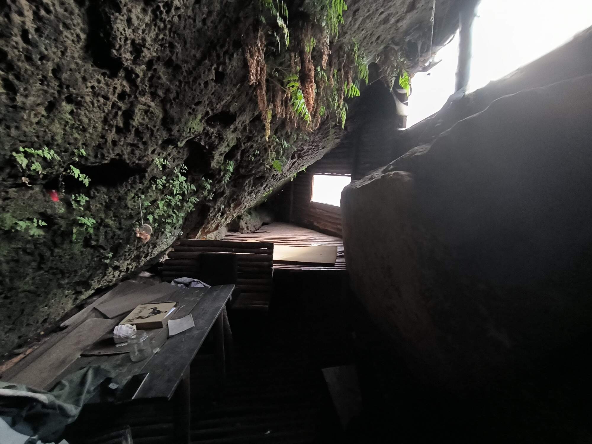 IMG 20221112 100012