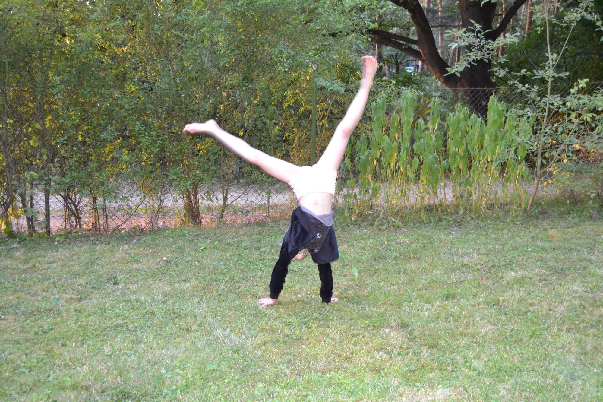 DSC 0050