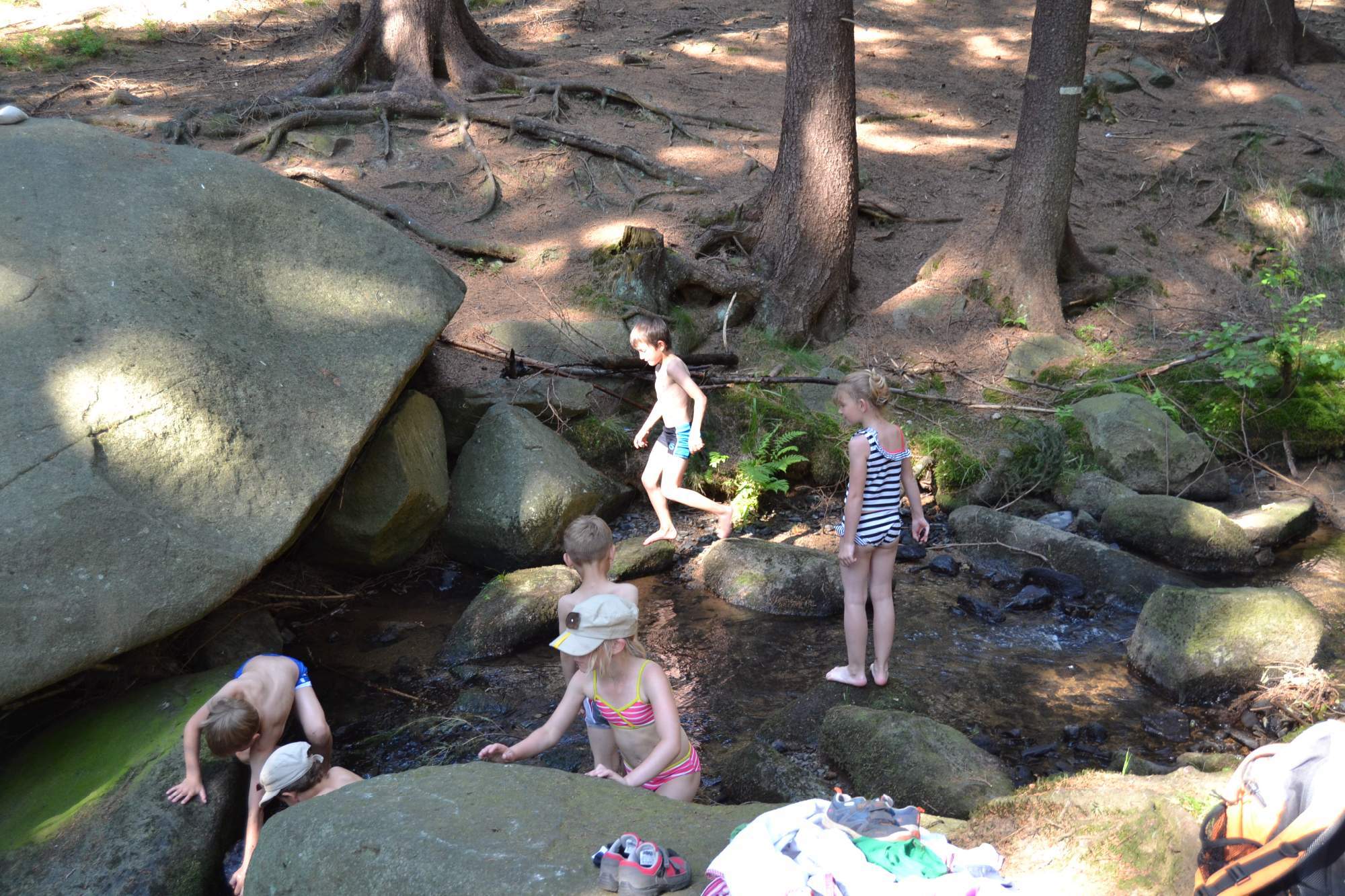 DSC 0292