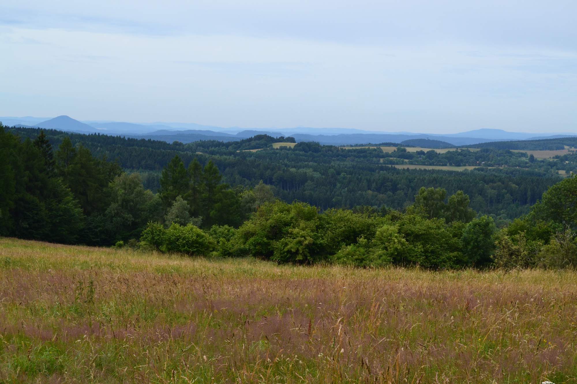 DSC 0061