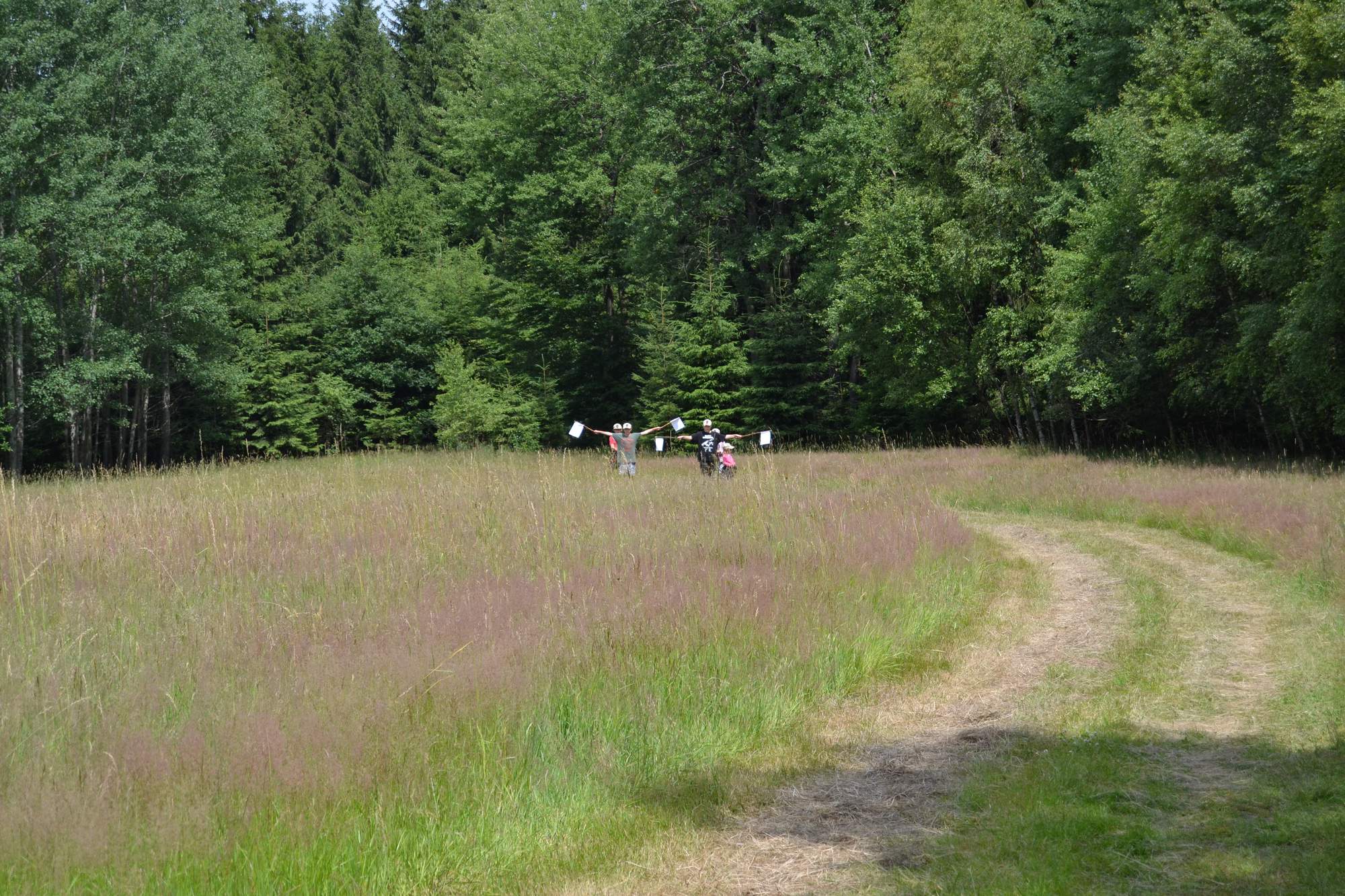 1DSC 0567