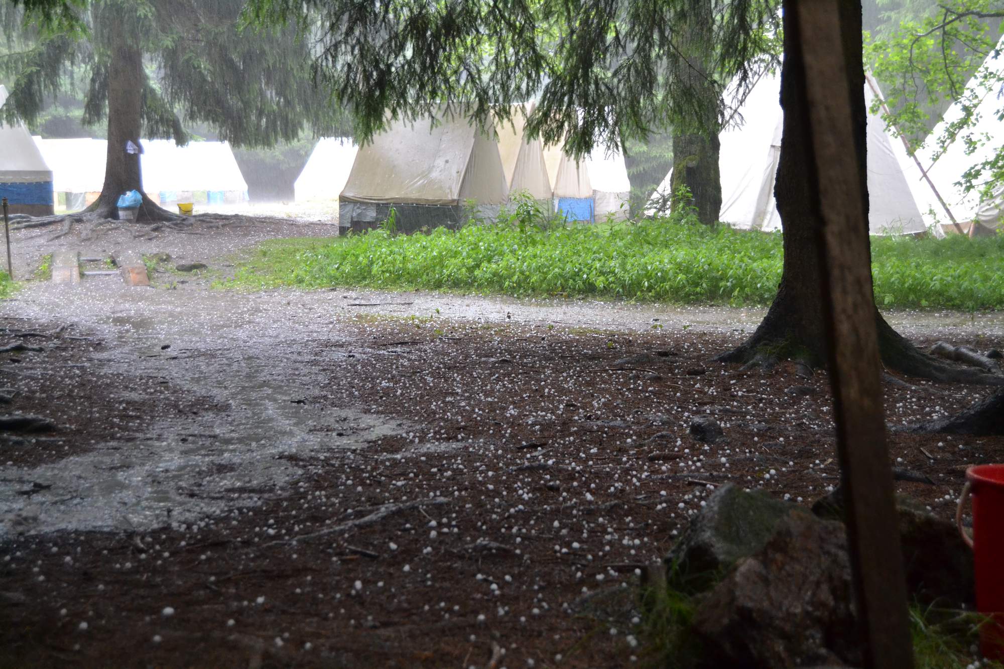 2DSC 0276