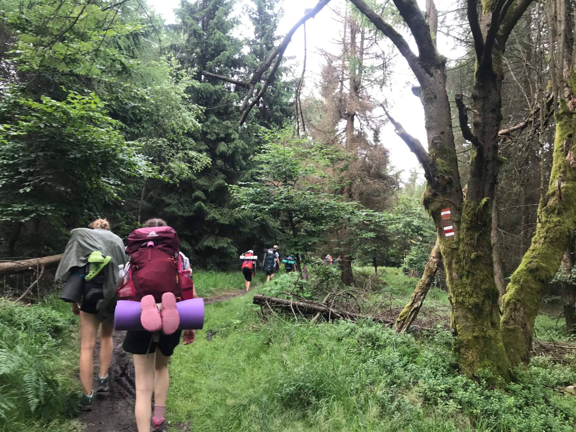 IMG 0726