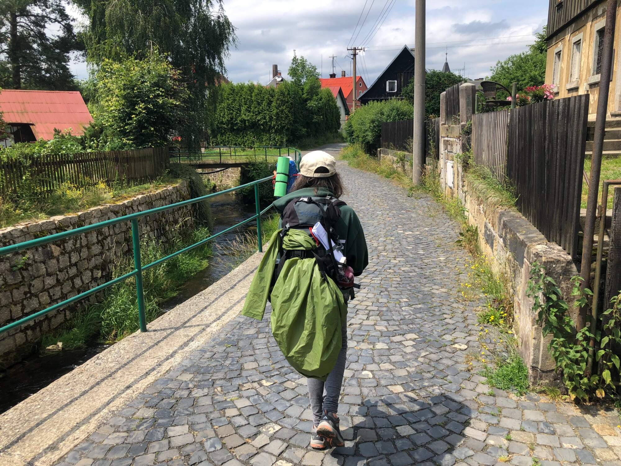 IMG 3751
