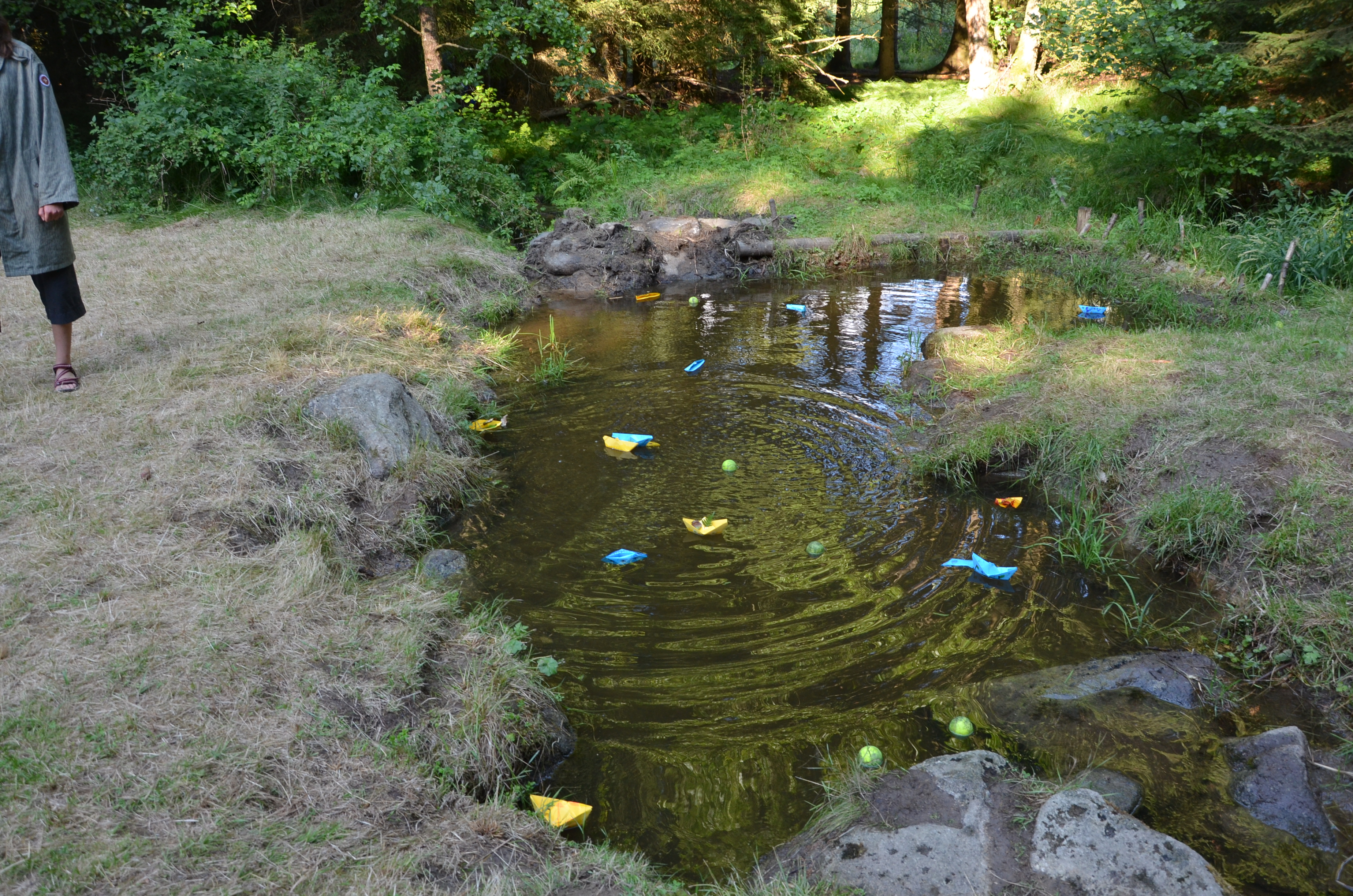 365 DSC 0080